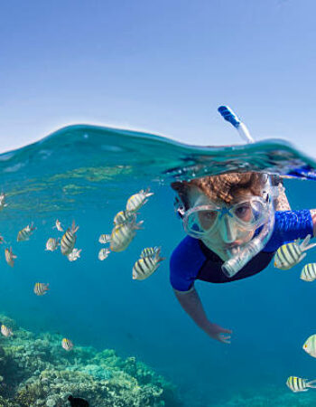 Seahawks Scuba